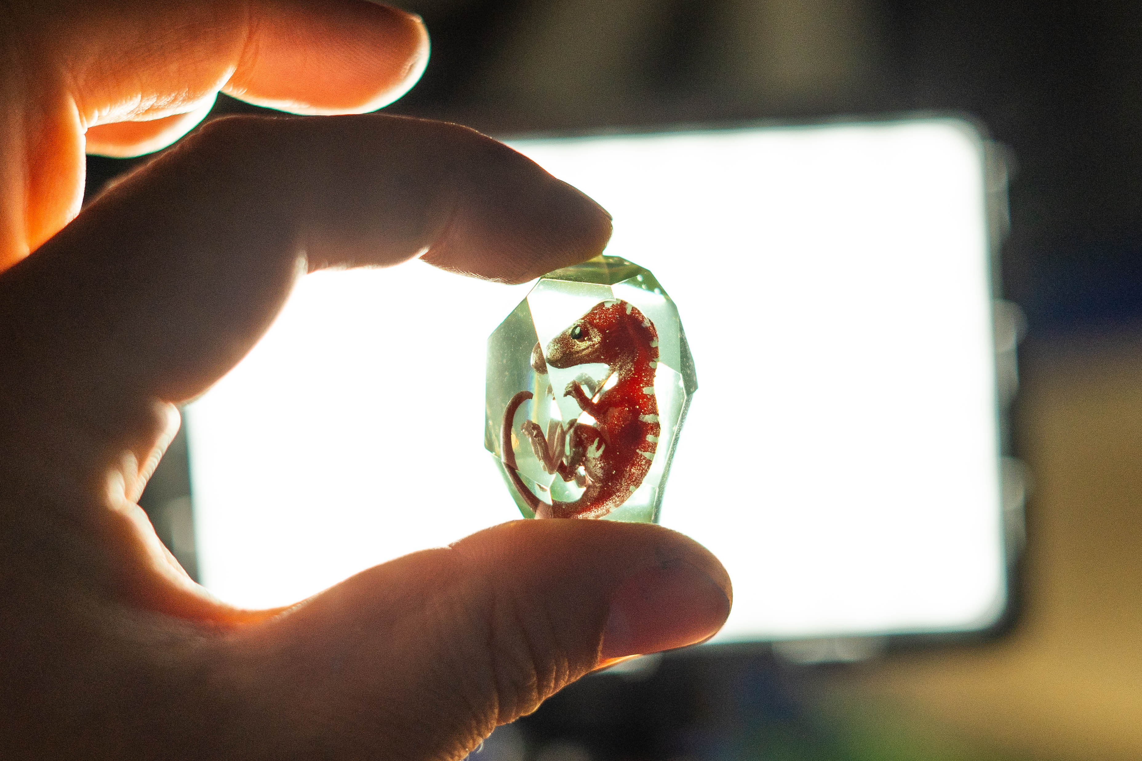 Gembryos Mystery Gems