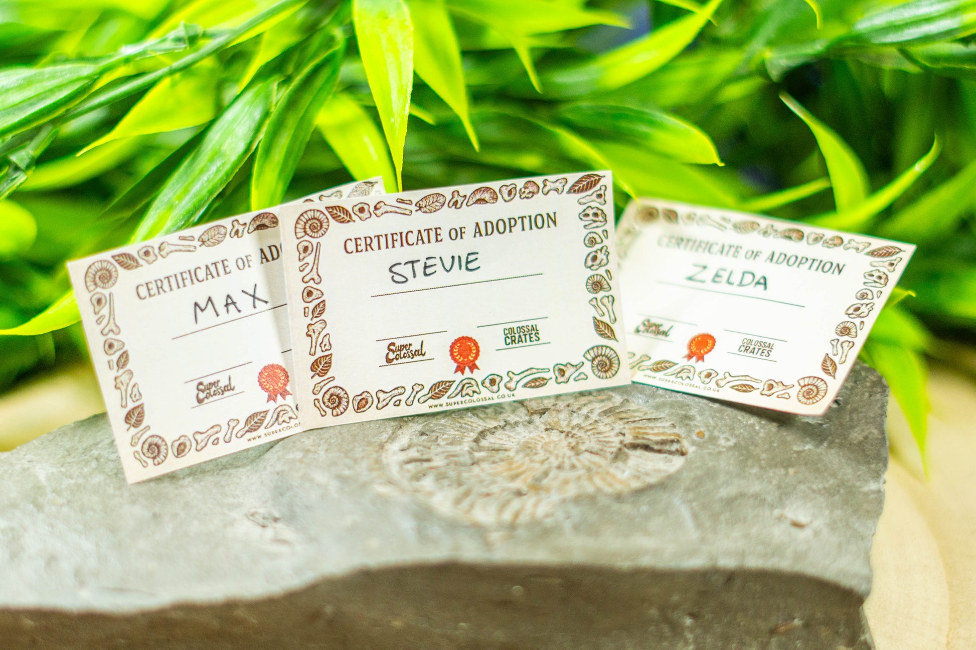 Tinysaurs (Series One)